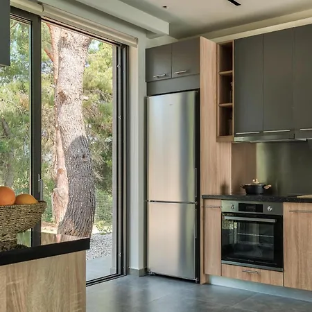 Villa Luxury Mon I Vassilikos